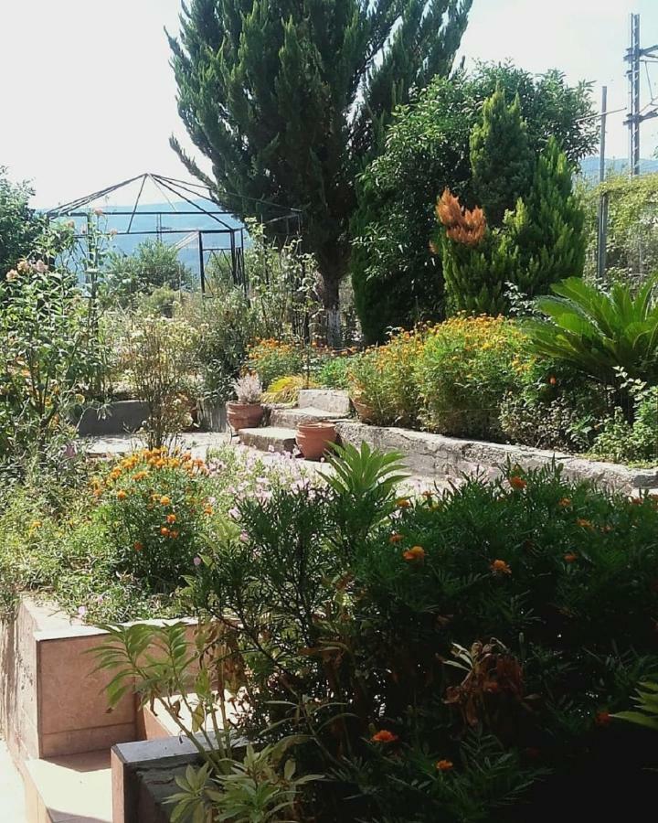 Plaza Studios Leptokaryá Extérieur photo